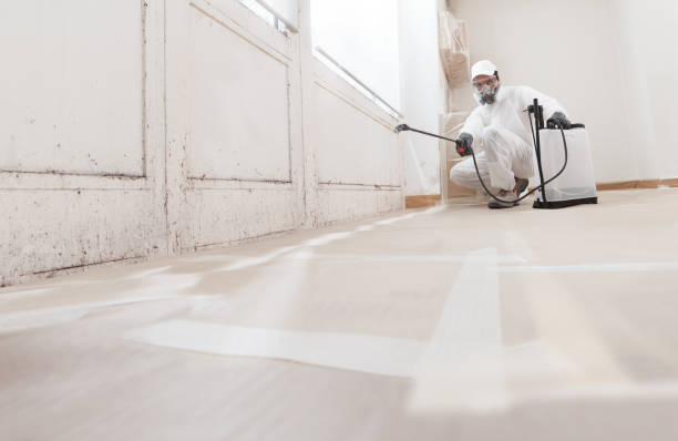 24/7 Emergency Mold Remediation experts in The Colony, TX