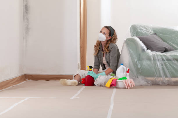 Reliable Mold Remediation contractor in The Colony, TX by Mold Remediation HQ